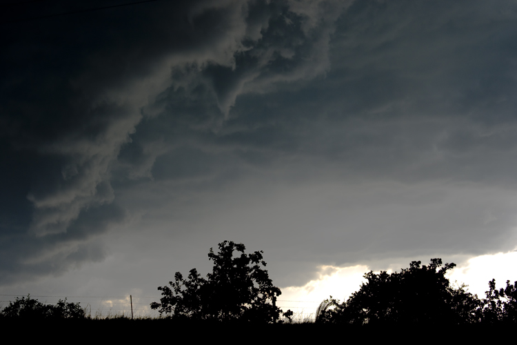 Bilder_USA_2009 026.jpg